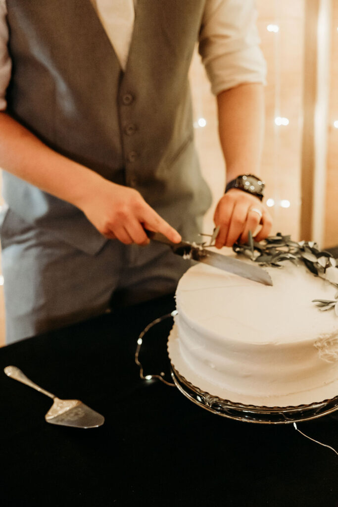 Bride and groom cutting into wedding cake