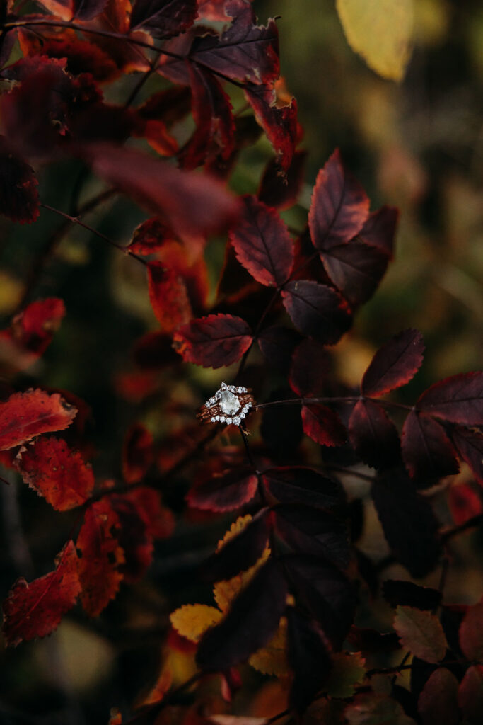 Wedding ring on fall leaves