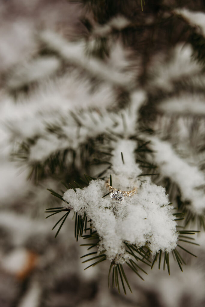 Engagement ring on a snow covered tree branch