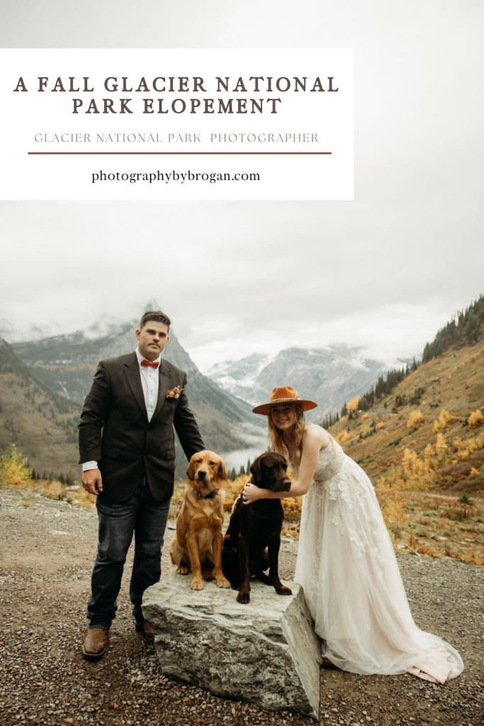 Bride and grooms portraits in the mountains with their two dogs