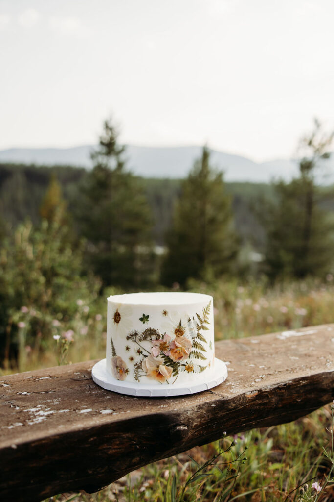 couple in montana having their elopement
