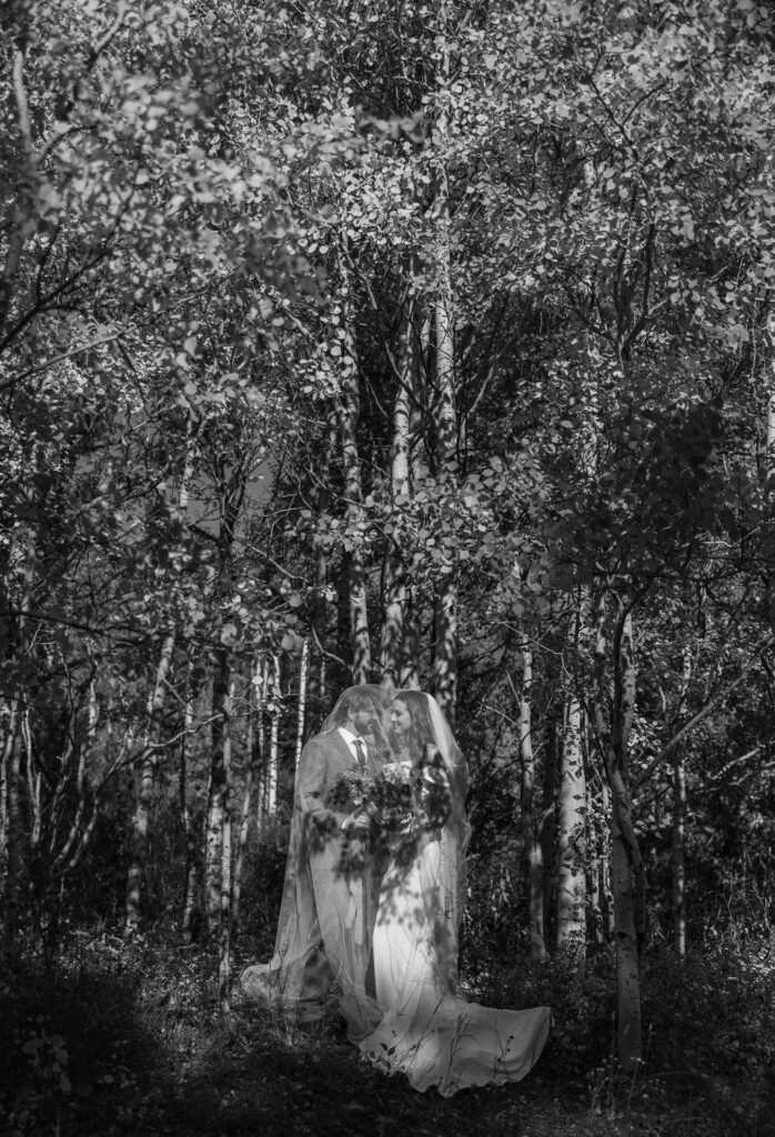 a fall elopement session in montana
