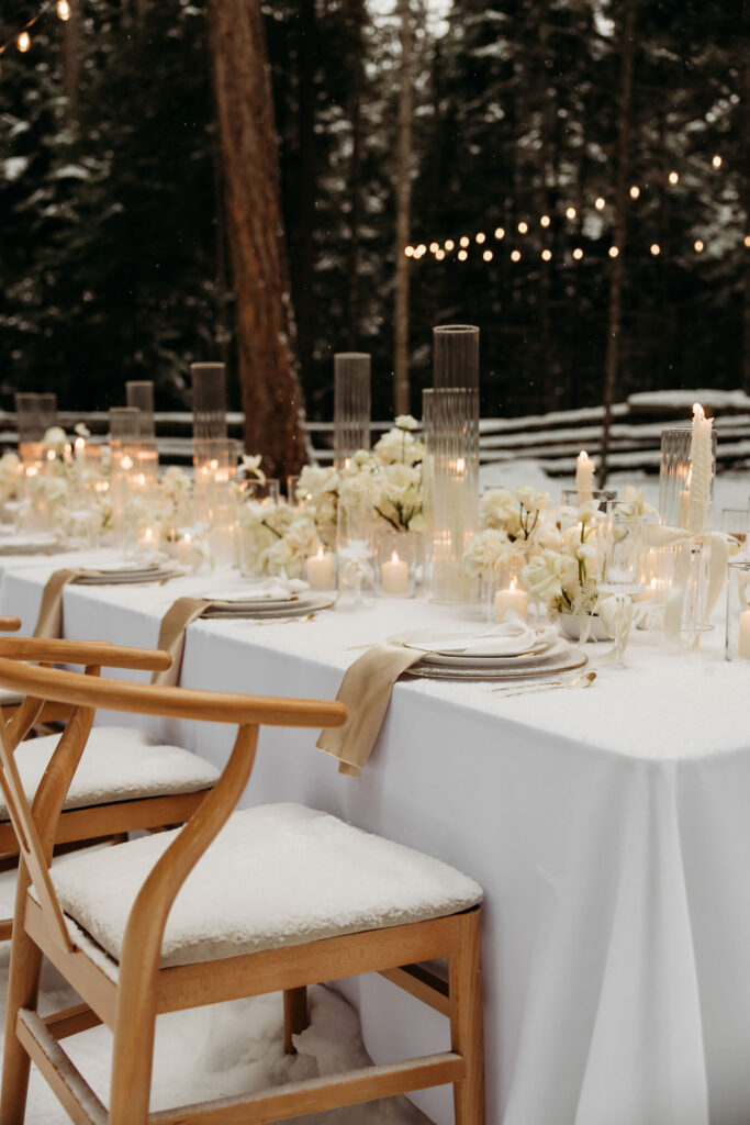 an outdoor elopement in the snow
