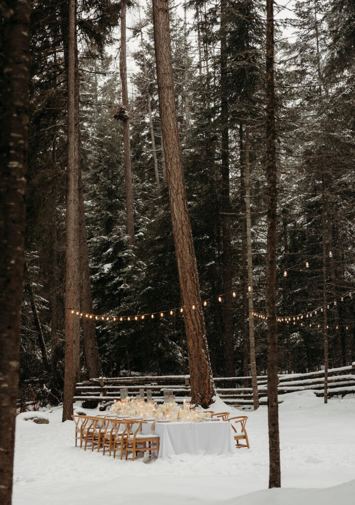 an outdoor elopement in the snow
