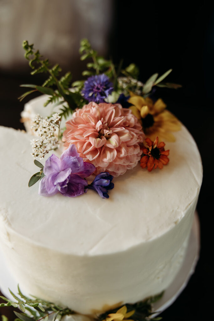 a glacier national park elopement photos
