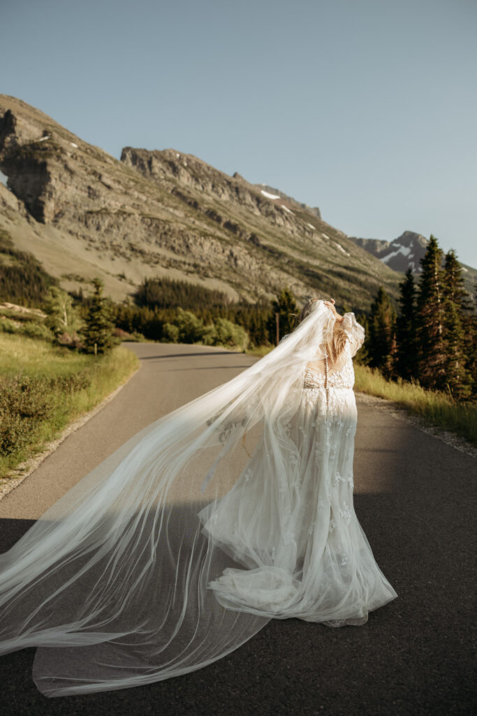 a glacier national park elopement photos
