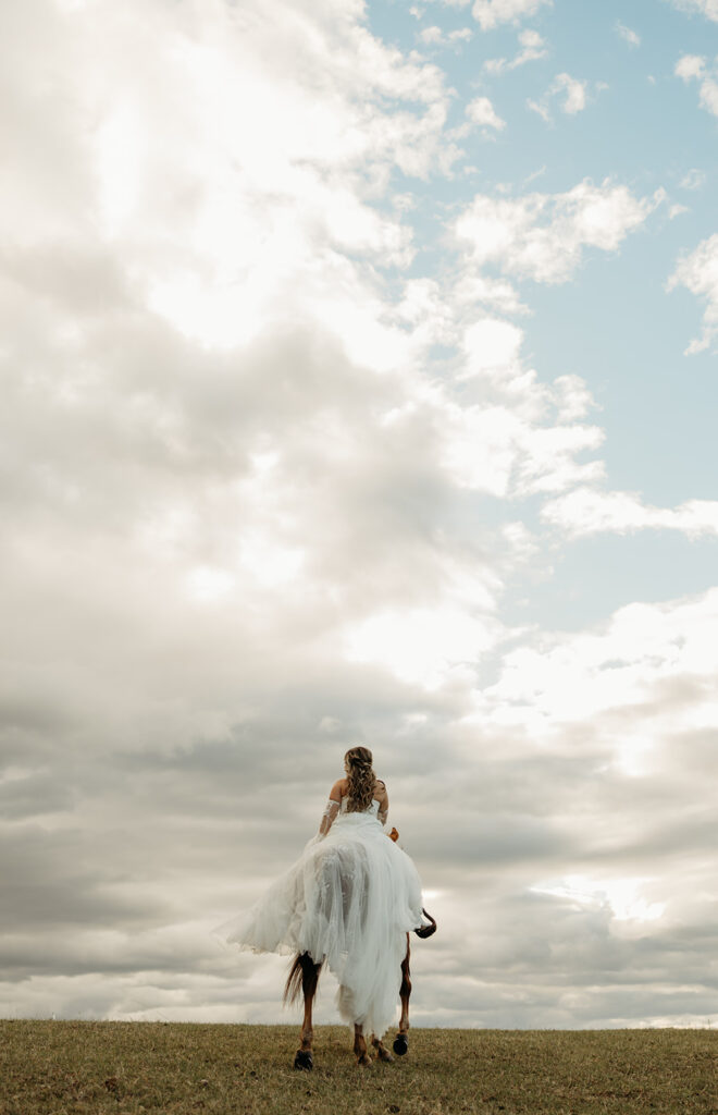 A gorgeous elopement in Glacier National Park with the couple posing with horses.