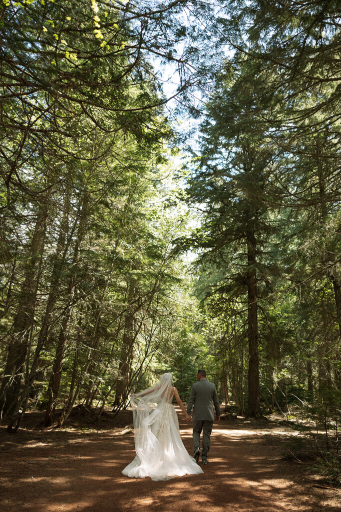 Scenic mountain views and peaceful hiking trail at Avalanche Lake

