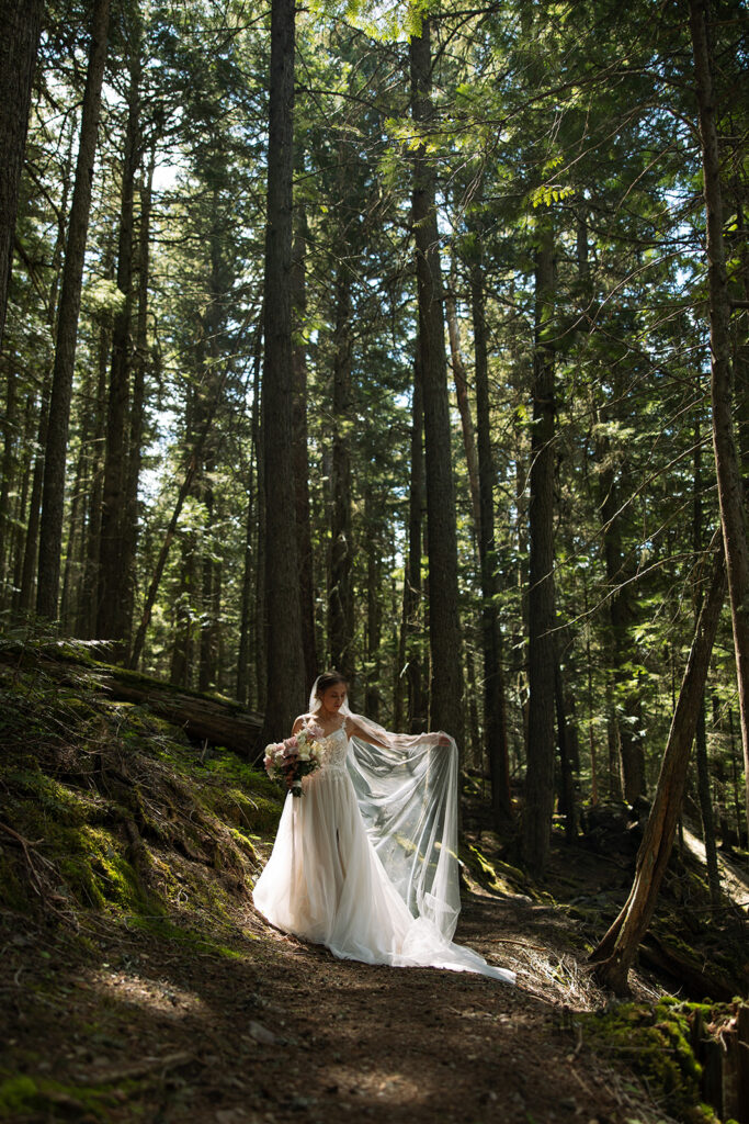 Scenic mountain views and peaceful hiking trail at Avalanche Lake
