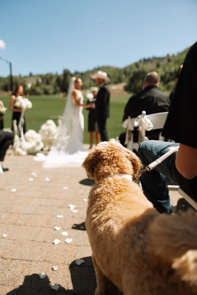 A couple celebrating their luxury western wedding with mountain views in the background.