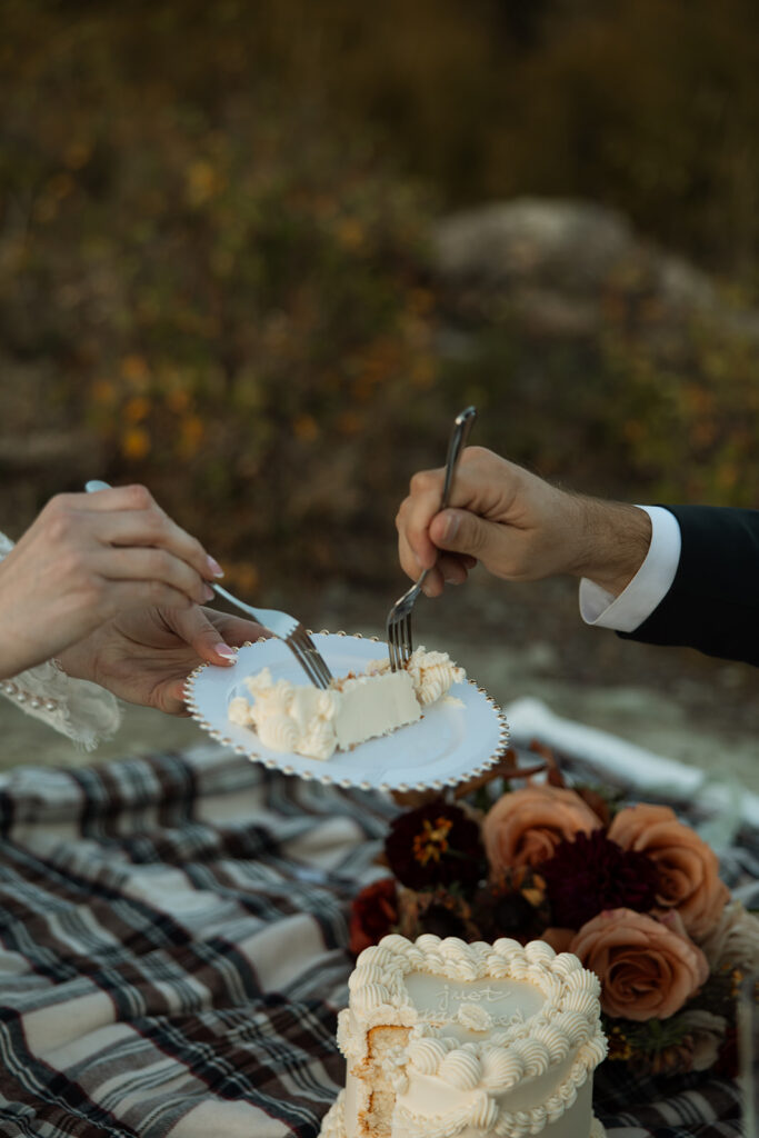 Couple enjoying a relaxed picnic together in a beautiful outdoor setting.