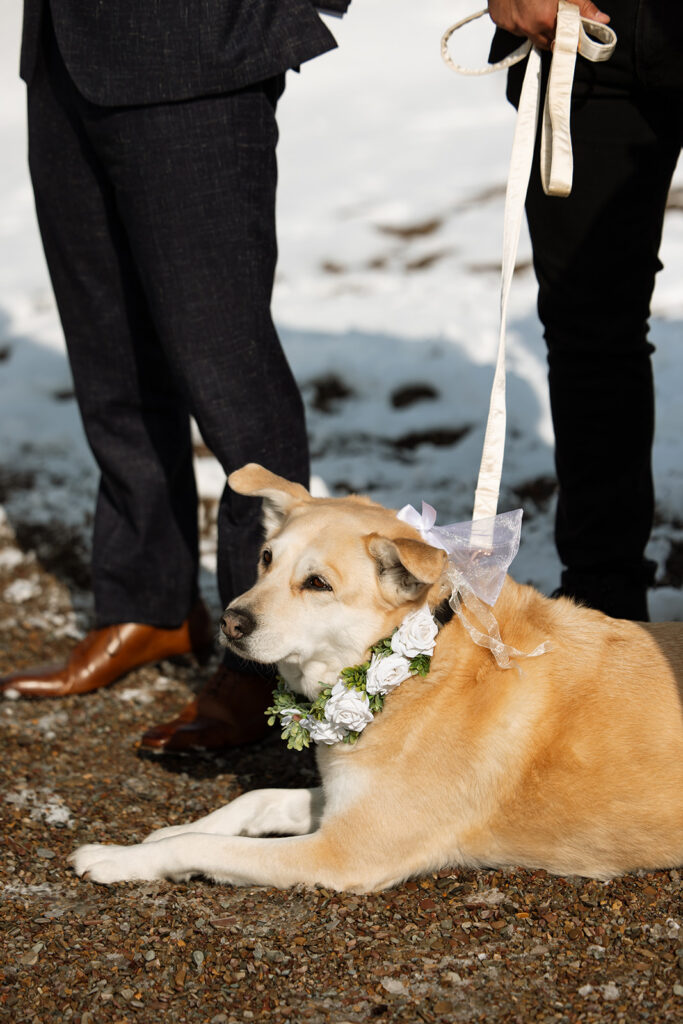 Emotional ceremony during an elopement at Lake McDonald with guests gathered in a quiet snowy landscape